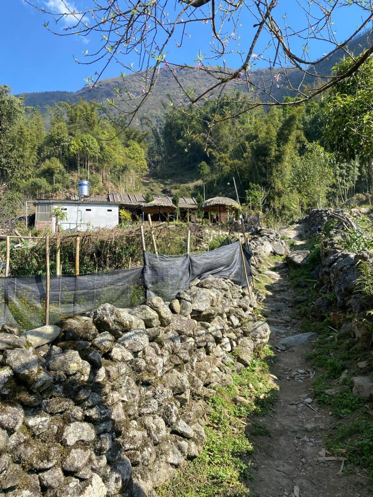 Sue Pa Family Trekking Homestay Sapa Exteriör bild