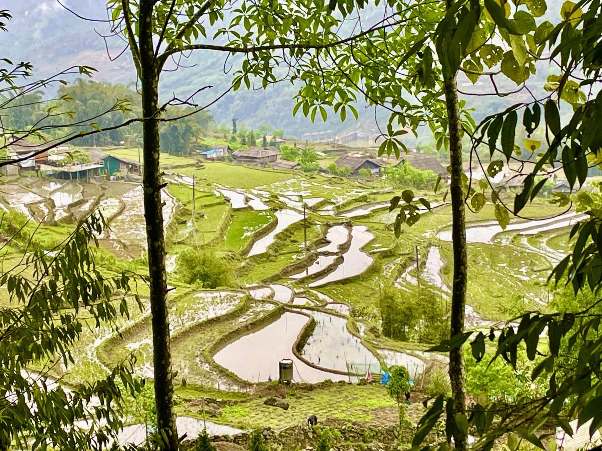 Sue Pa Family Trekking Homestay Sapa Exteriör bild