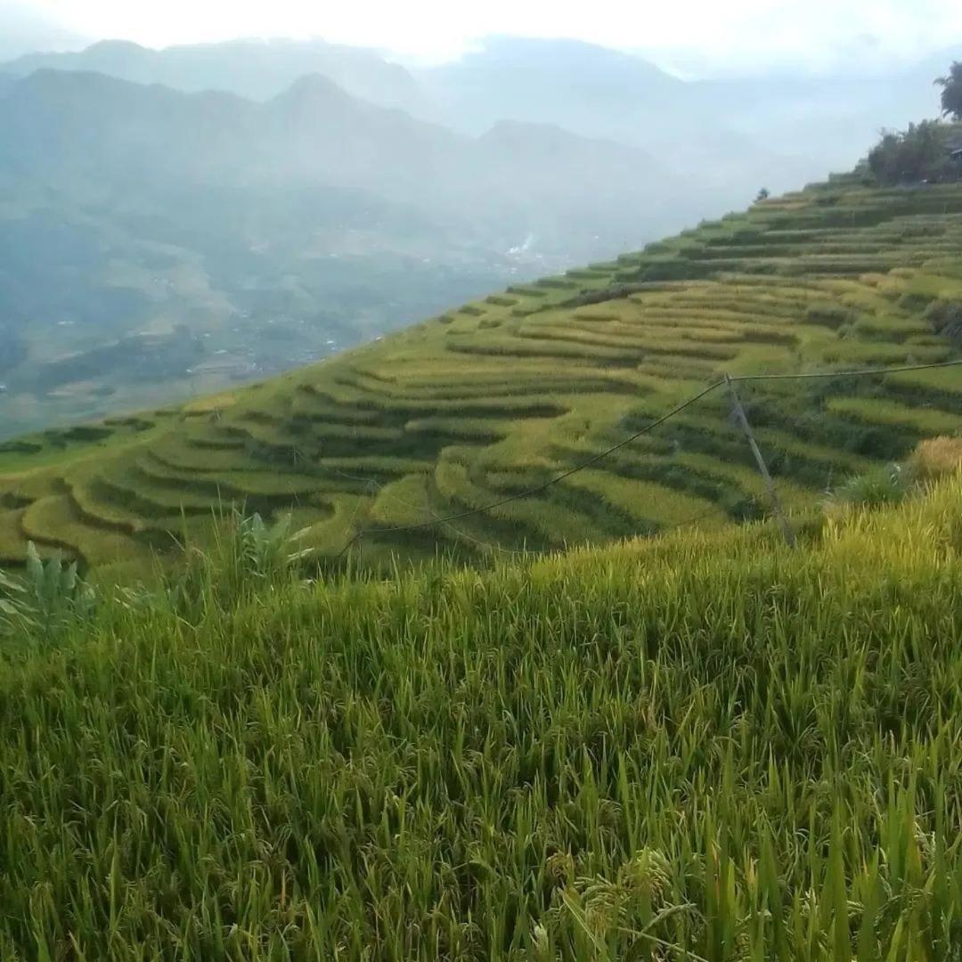 Sue Pa Family Trekking Homestay Sapa Exteriör bild