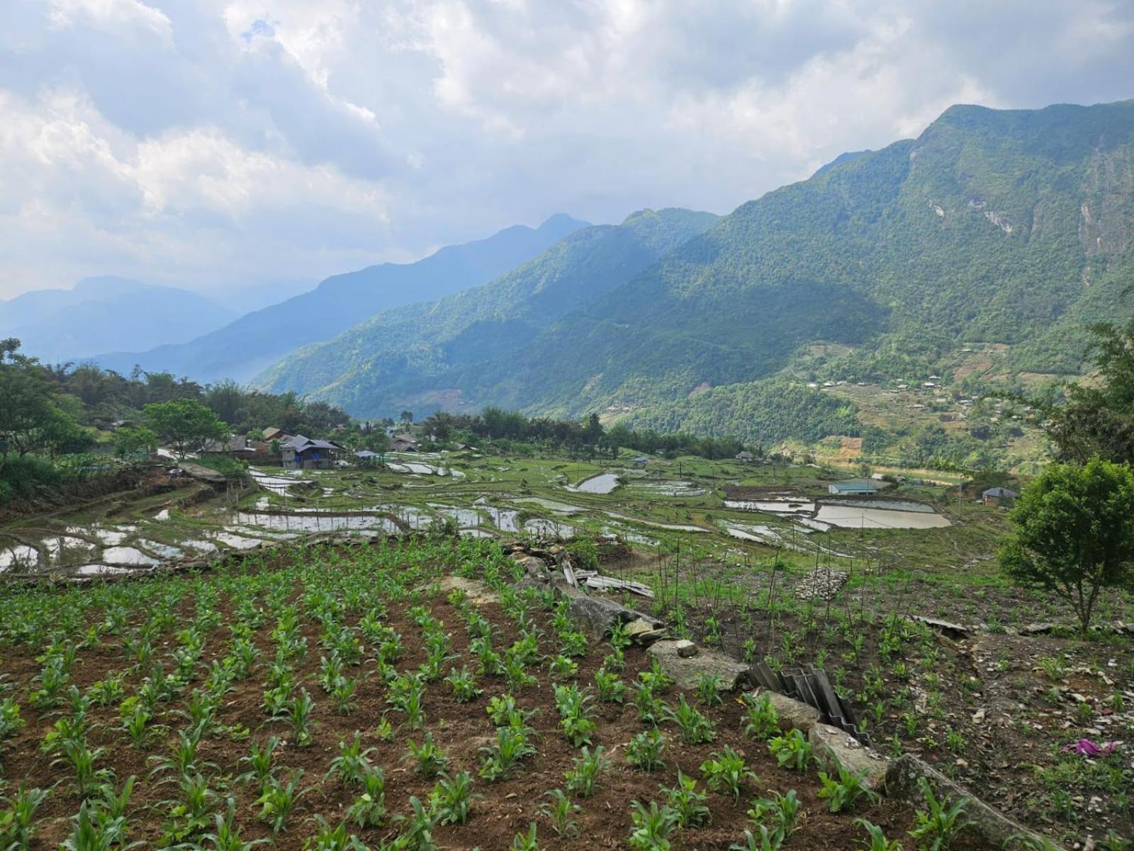 Sue Pa Family Trekking Homestay Sapa Exteriör bild